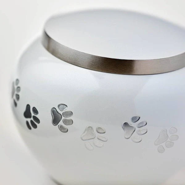 Classic Round Pearl Paw Band Large Pet Cremation Urn - Image 3